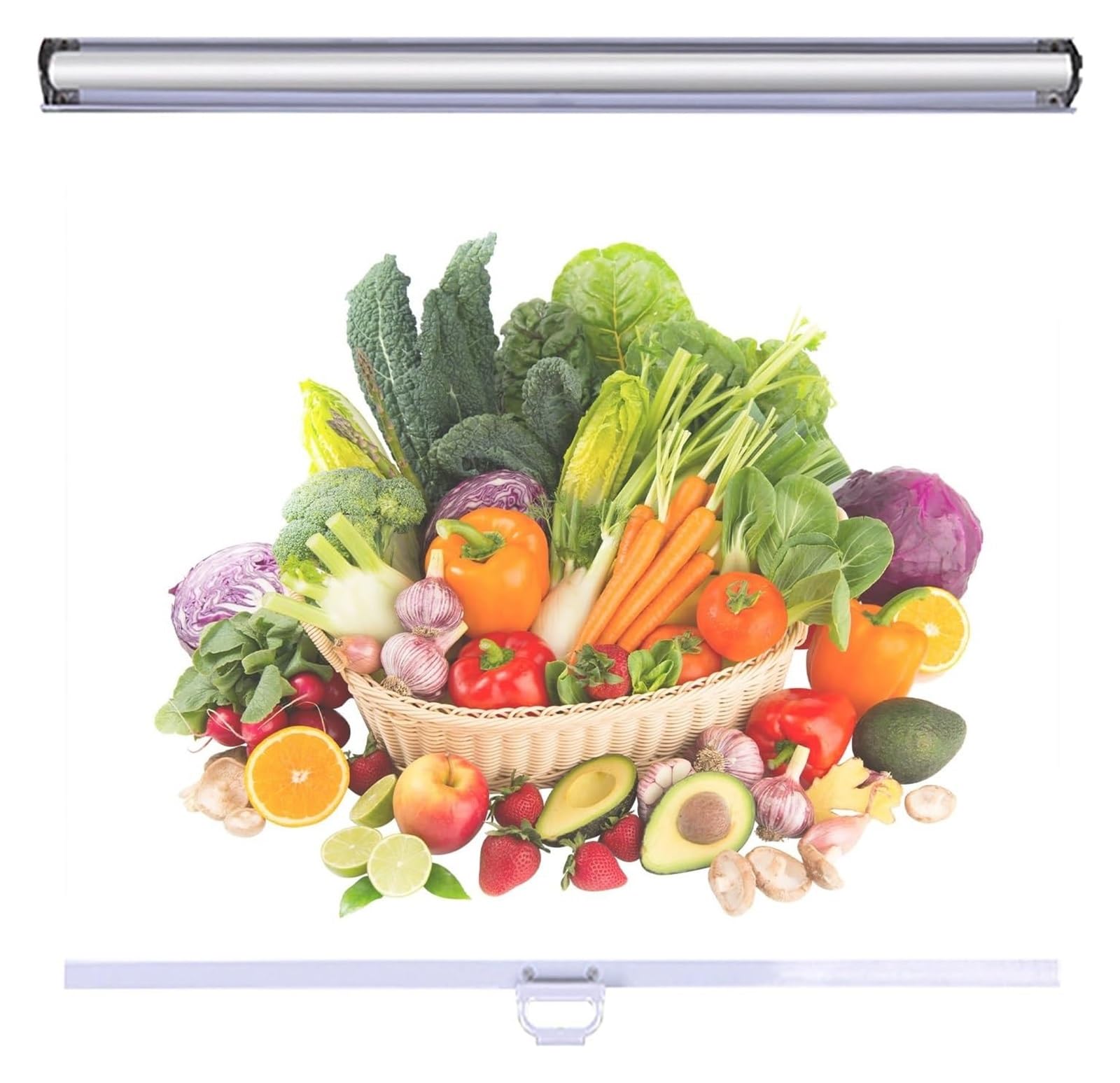 Tenda avvolgibile in plastica generica, porosa, per frigorifero, conservazione degli alimenti, traspirante, facile installazione (55 x 80 cm)