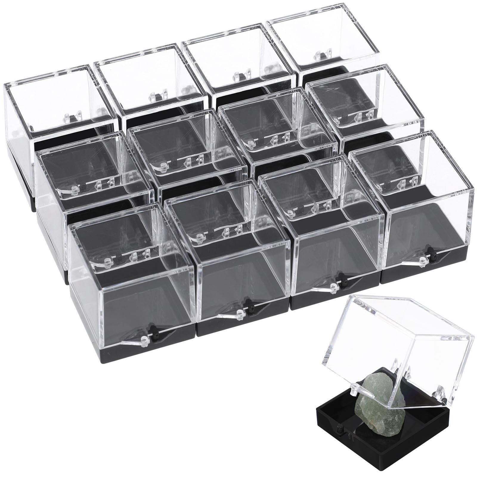 Amazon.co.jp: Lurrose 鉱物標本 ケース 12個セット 35mm 黒底 透明 