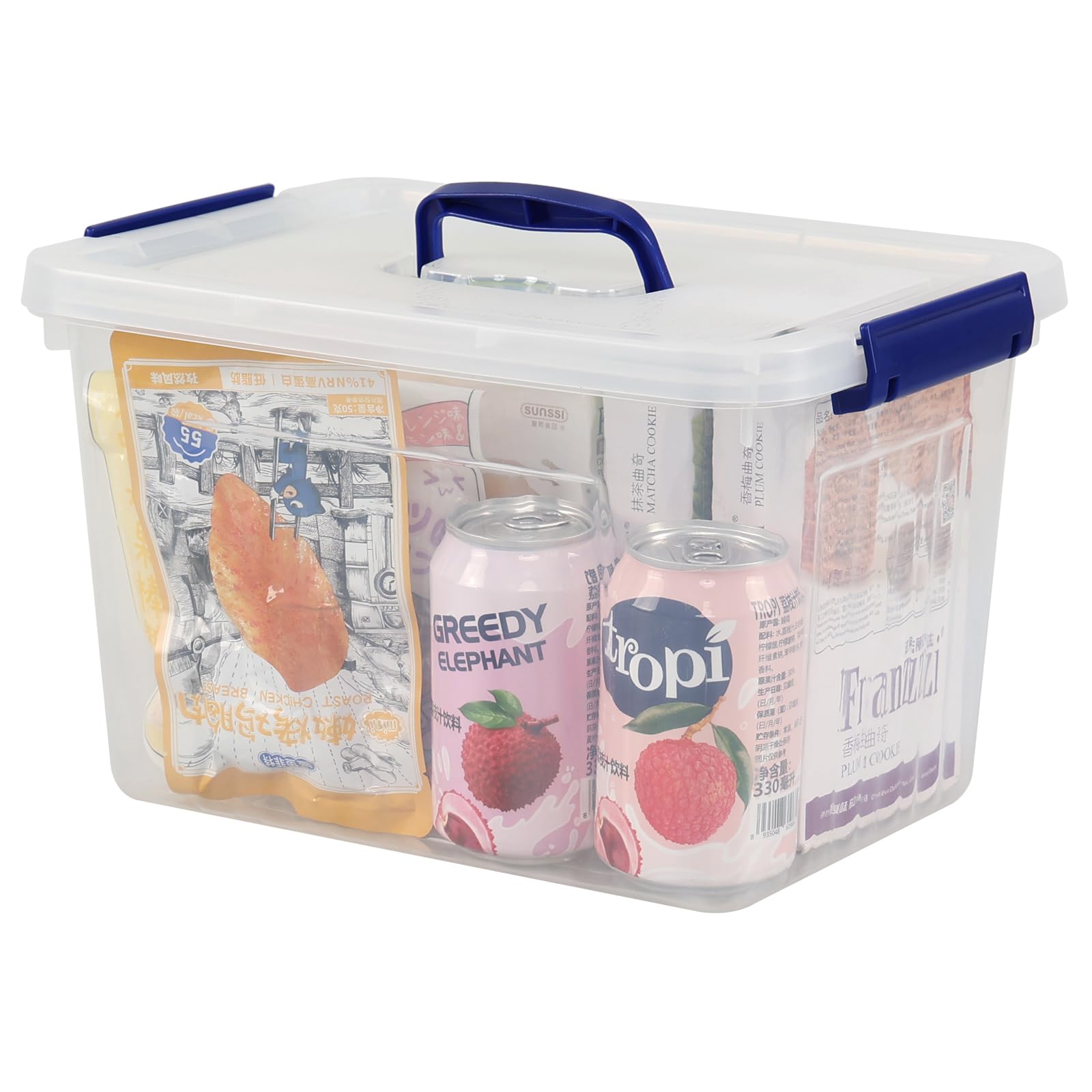Farmoon bac de rangement verrouillable 12L avec poignée de transport