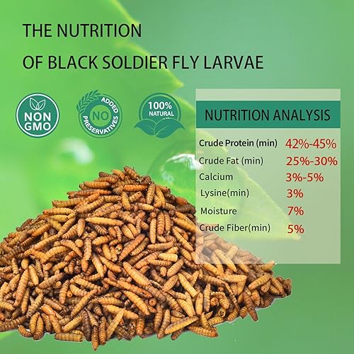 Miniatura 2 de Dried Black Soldier Fly Larvae 10LB-Pure Natural Non-GMO BSF Larvae for Chickens-More Calcium Than Mealworms High-Protein Chickens Treats for Layer