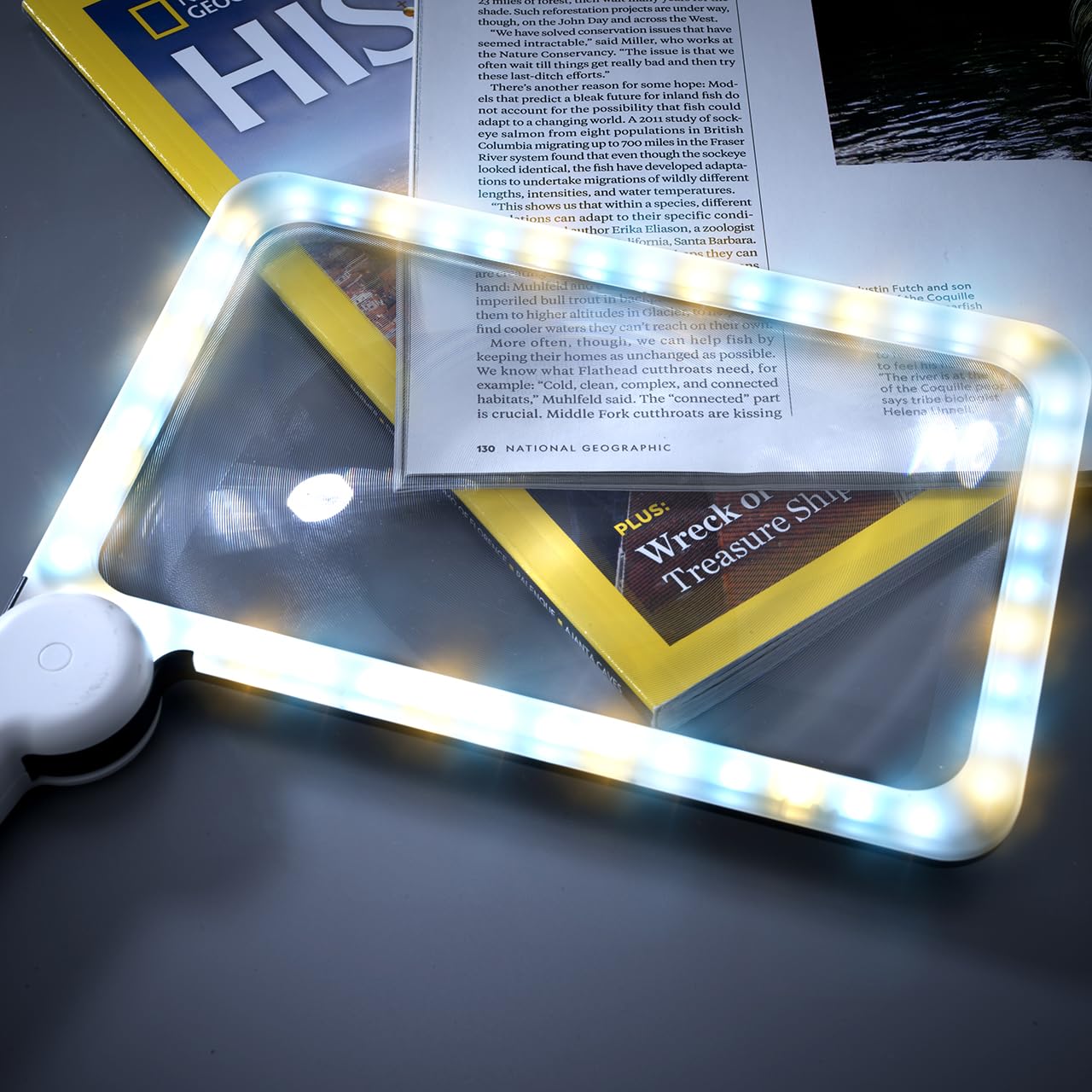Handheld Magnifier With 48 LedsPortable Light Up Magnifying Glass Reading Tool With 5X Magnification & Fold Away Handle from B&Q