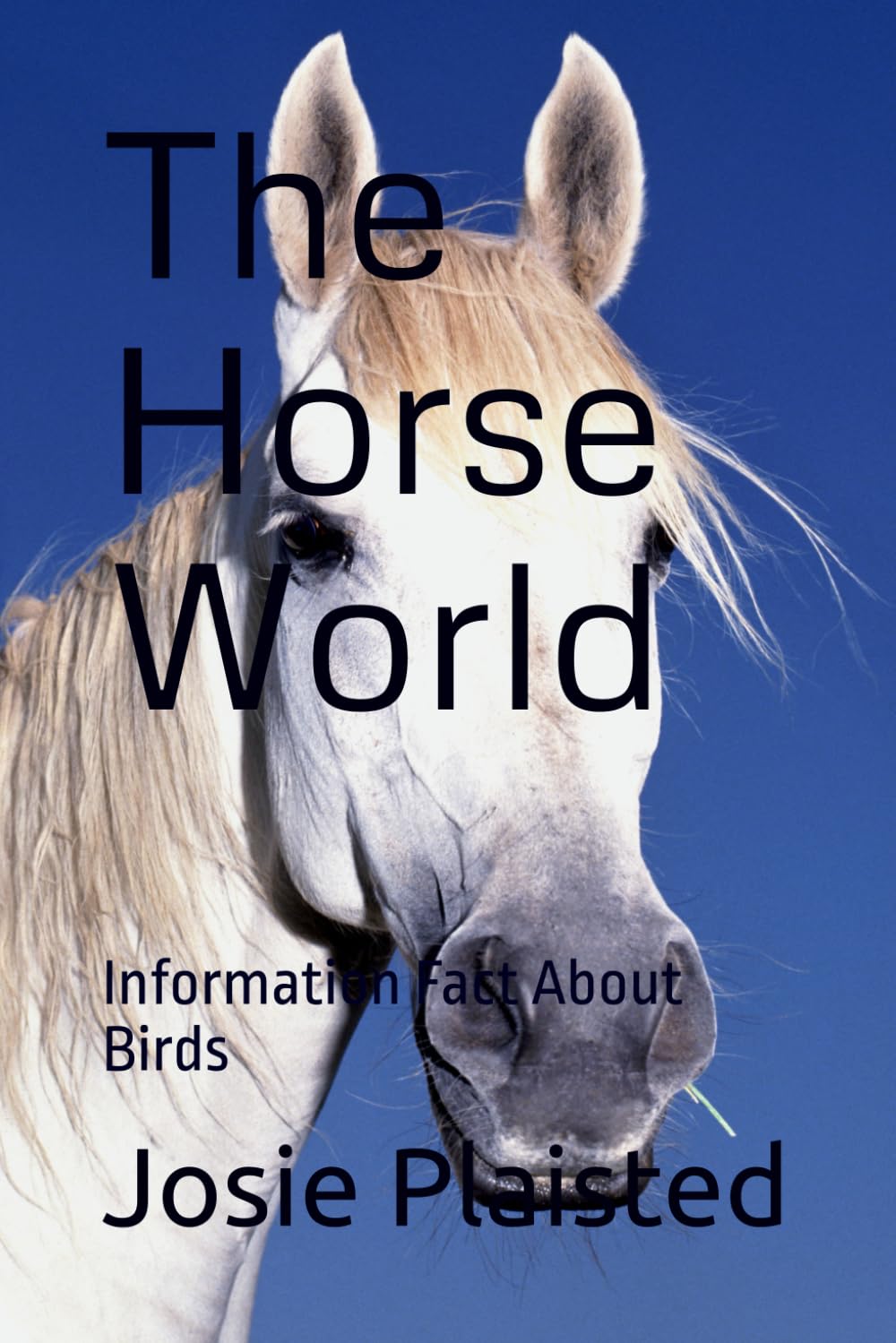 The Horse World: Information Fact About Birds