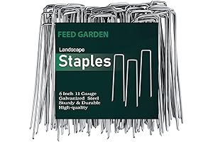 FEED GARDEN 6 Inch 50 Pack Lawn Stakes for Decorations