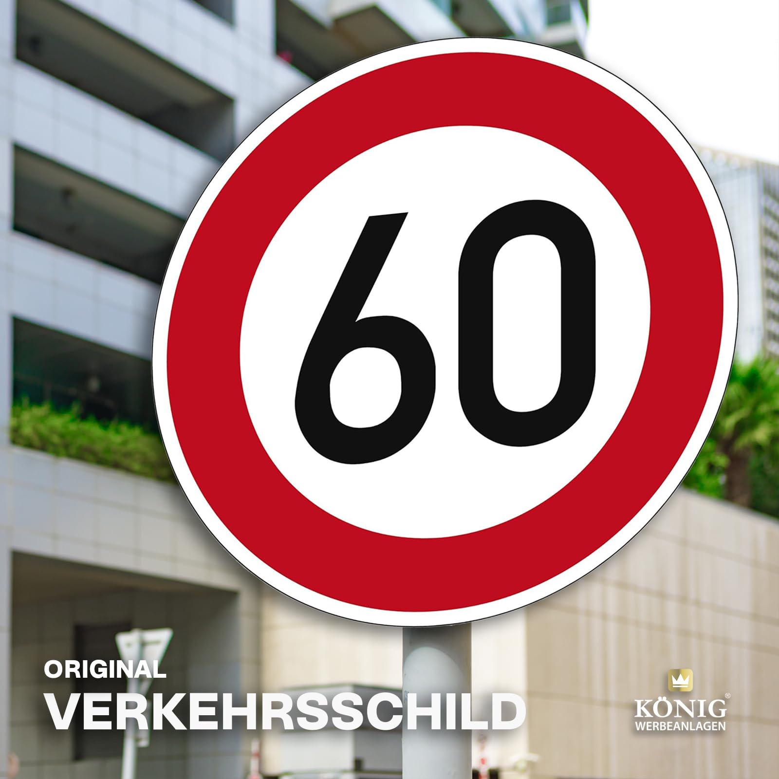 Verkehrszeichen Verbot für Fahrzeuge aller Art,Nr.250,Aluminium RA1