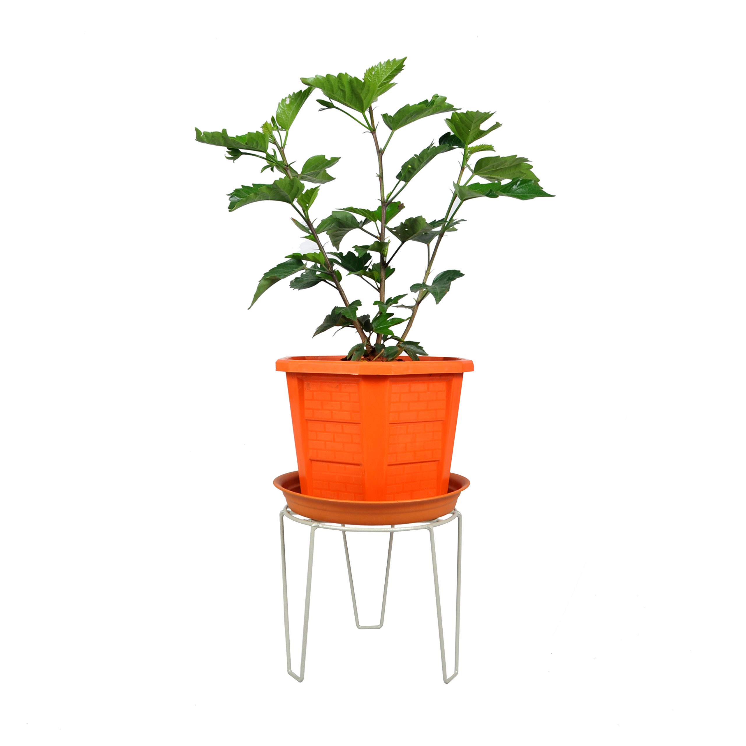 D&V ENGINEERING - Creative in innovation Metal Pot Display Stand, Grey, Large, 1 Piece (B08219HMHJ) Amazon Price History, Amazon Price Tracker