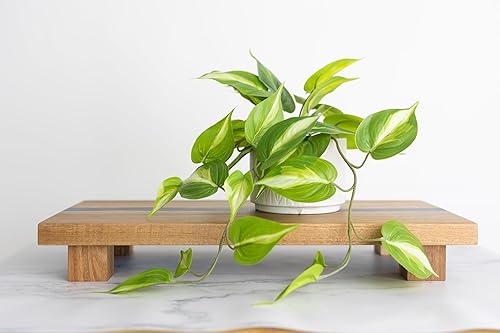 Miniatura 2 de Soporte de pedestal de madera  Tablero de pedestal rectangular grande de 19.5 pulgadas de largo x 9.8 pulgadas de ancho  Tablero elevador de madera