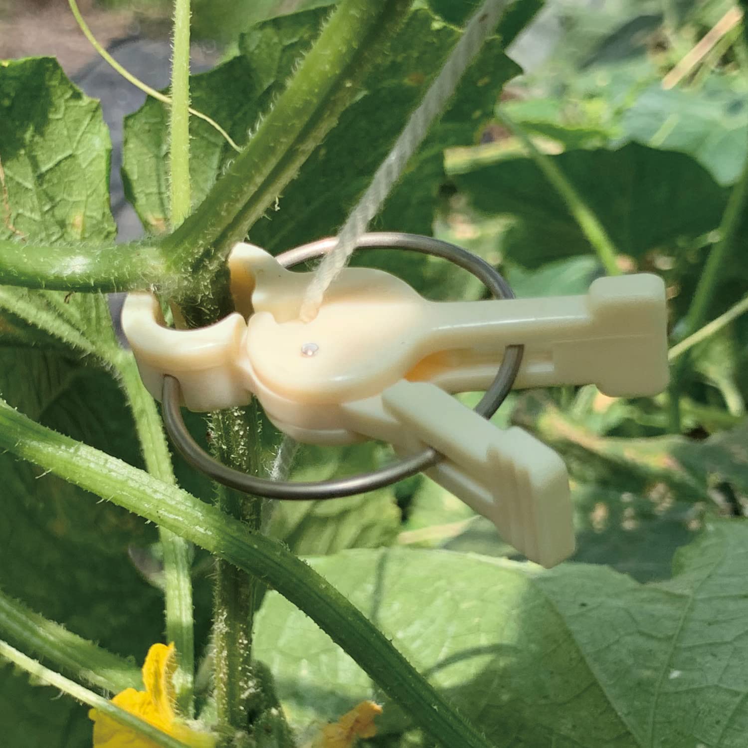 園芸クリップ　ナスニックス　とめっ子　16000個以上(半分は新品) 園芸クリップ ナスニックス とめっ子 16000個以上(半分は新品