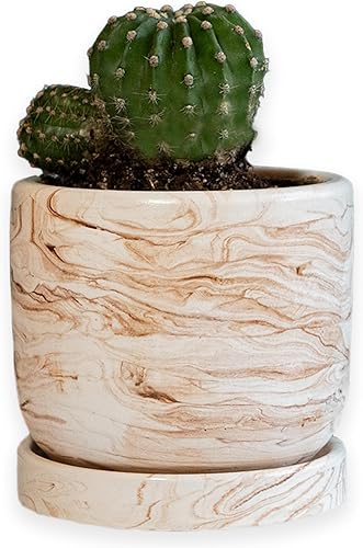 Maceta redonda de hormigón con orificio de drenaje de 3.5 pulgadas con platillo para macetas de cactus en el hogar, oficina, interiorexterior