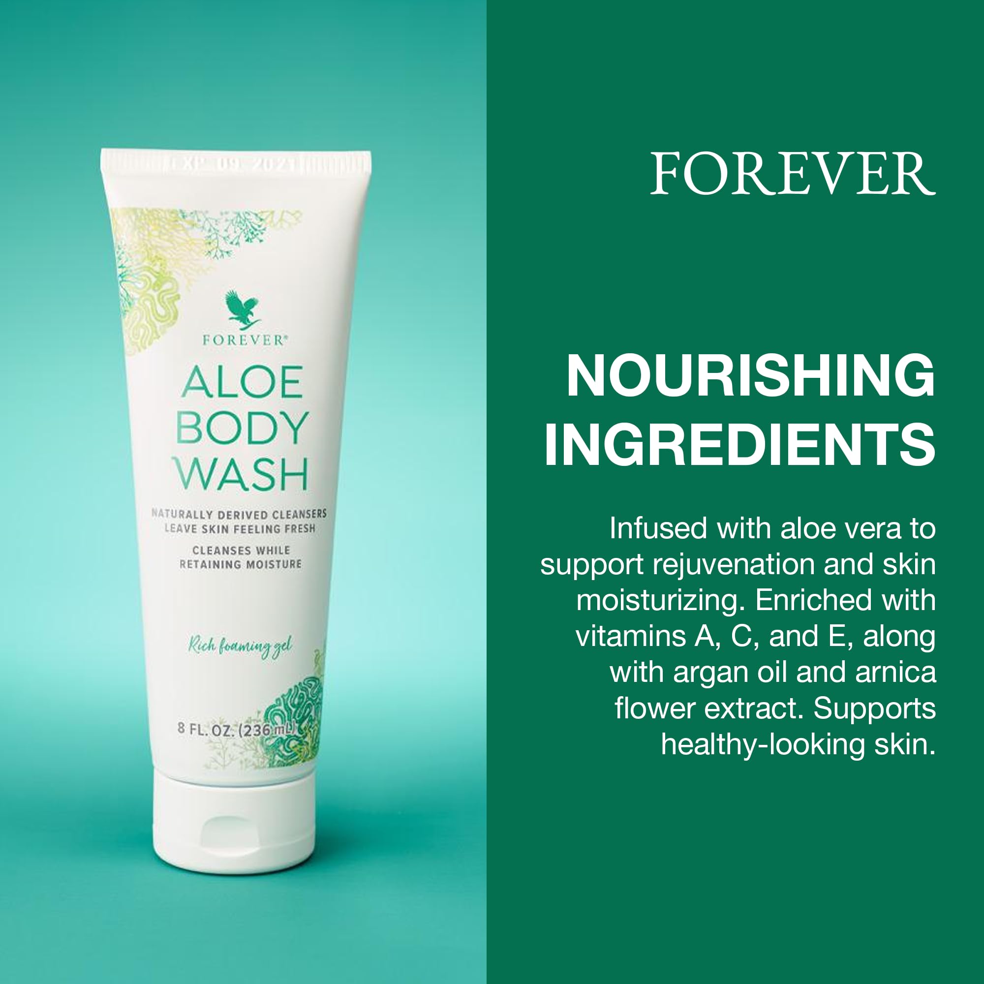 Amazon.com : Forever Diving - Forever Aloe Body Wash - Sulfate-Free Cleanser  with Aloe Vera, Argan Oil & Vitamins A, C, E - Inviting WoOzods & Amber  Scent - 8 Fl : Beauty & Personal Care
