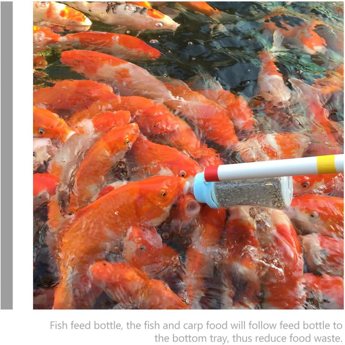 Kisangel 2pcs Fish Feeder Bottle for Aquarium Carp Dispenser Pole Easy to Clean and Install for Feeding Fish and Carp Tanks