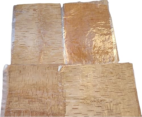 Miniatura 5 de BHAVICREATION Bhojpatra Betula Bhojpatra - Bhojpatra - Bhojpatra - Bhojpatra - Bhojpatra - Bhojpatra - Bhojpatra - Bhojpatra - Bhojpatra - Bhojpatra