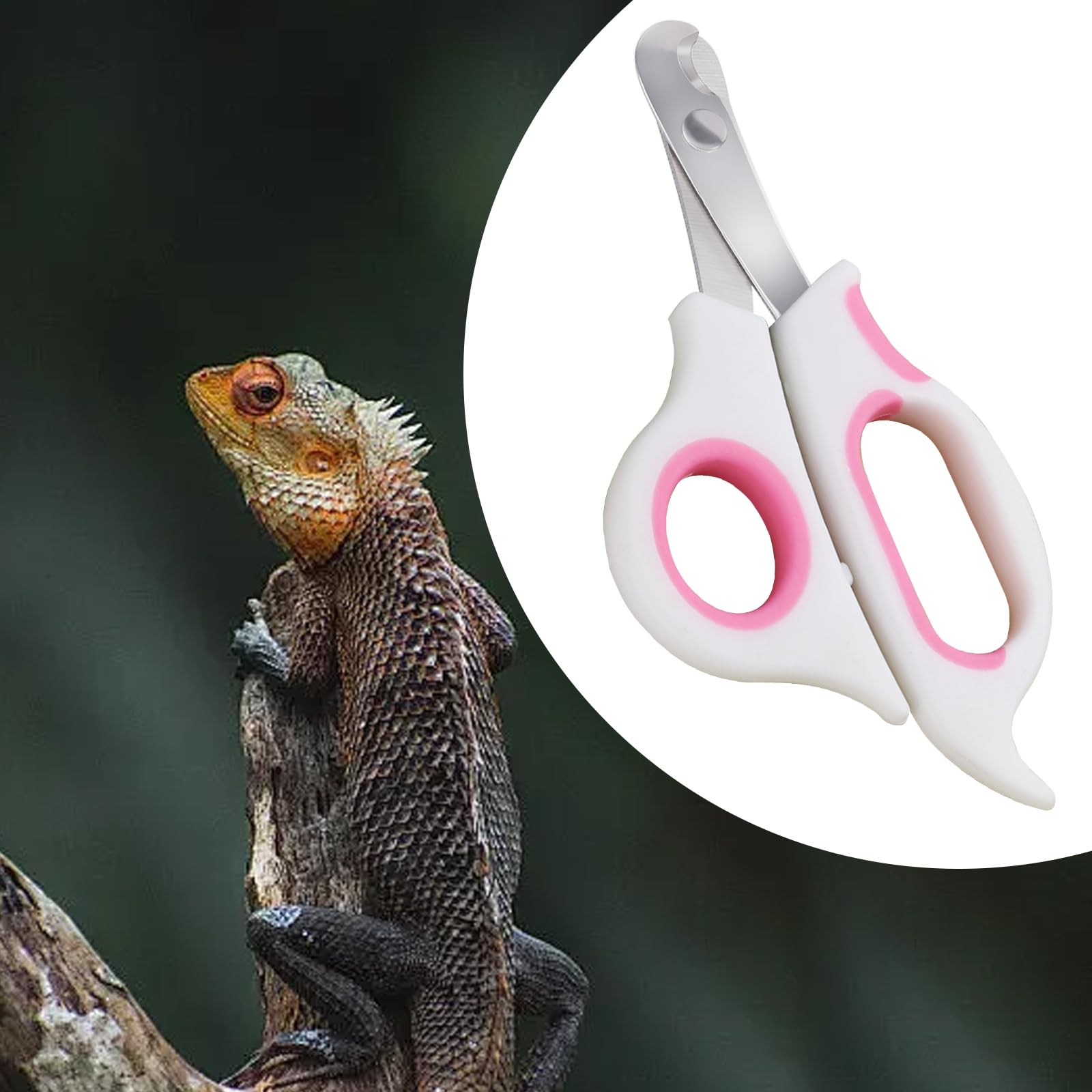 KEUYE Bearded Dragon Nail Clippers,Stainless Steel Bearded Dragon Toe Nail Clippers with Precise Angled Edges (Pinky White)
