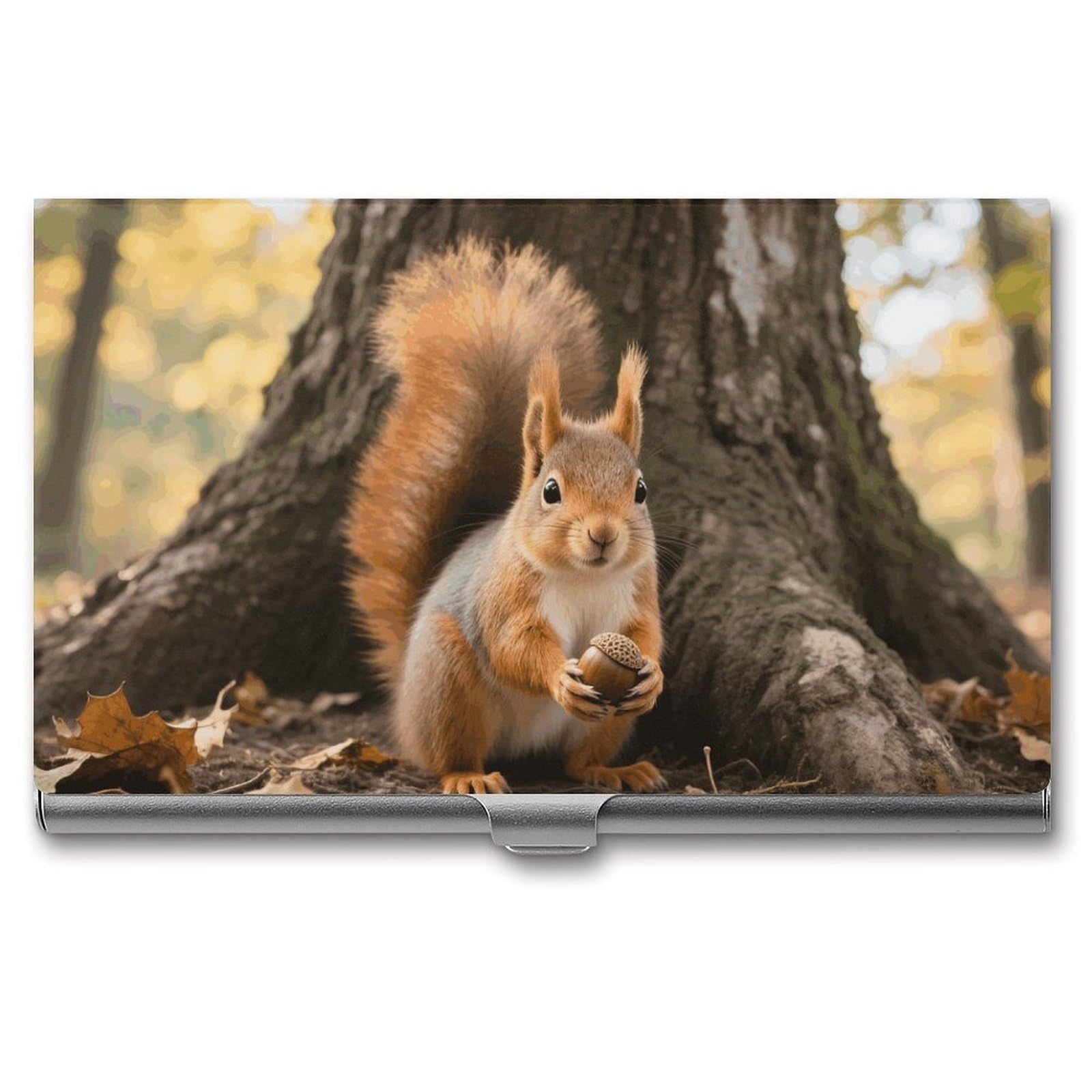 DWVTSLH Squirrel Business Card Holder, Slim Portable Metal Business Card Case Pocket Wallet Professional Name Cards Holder for 22-30 Cards, Credit Card ID Case/Holder for Men Women