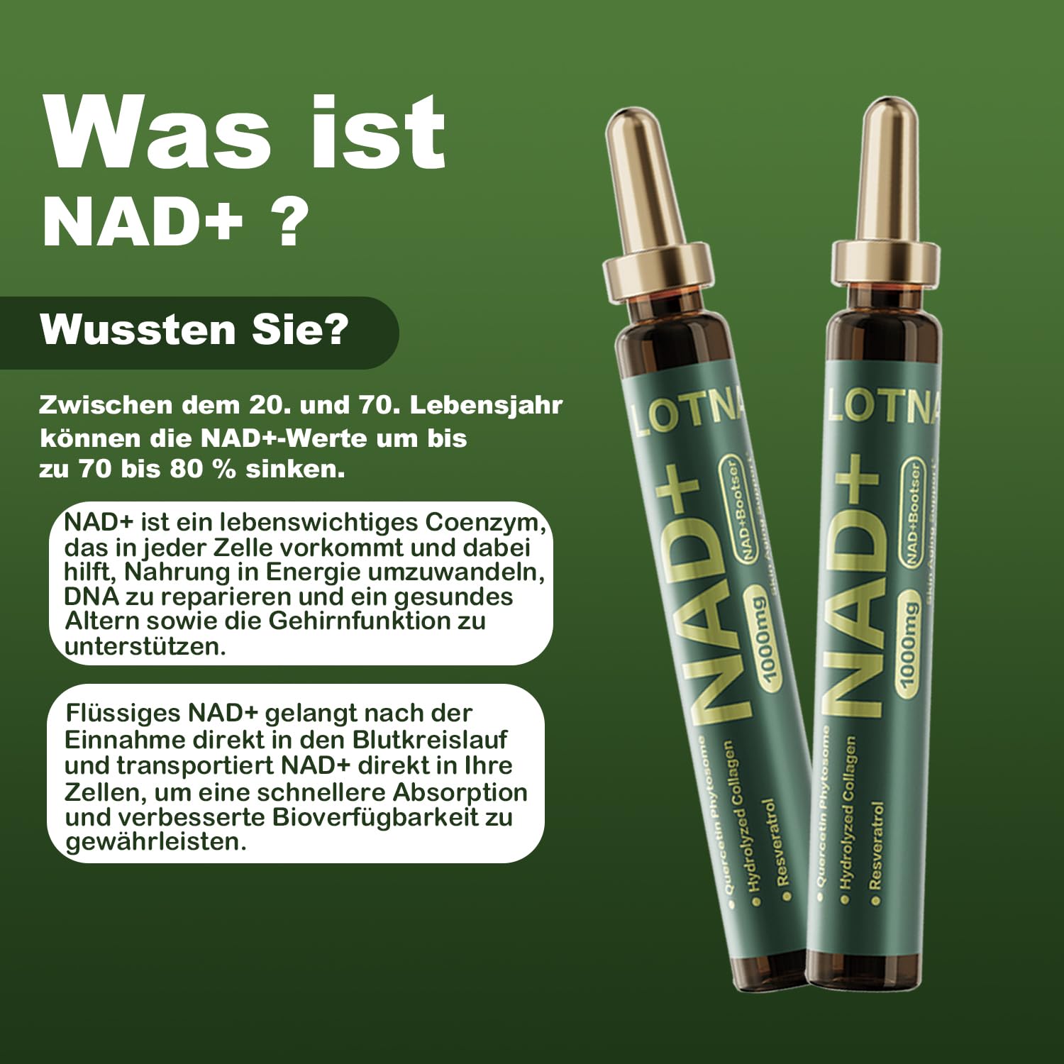 NAD+ Zellregeneration 1000mg – Flüssigkeit NAD Nahrungsergänzungsmittel für Anti-Aging, DNA-Reparatur & Energie – NAD+ Booster mit Resveratrol, Kollagen & Quercetin – 10 Trinkampullen