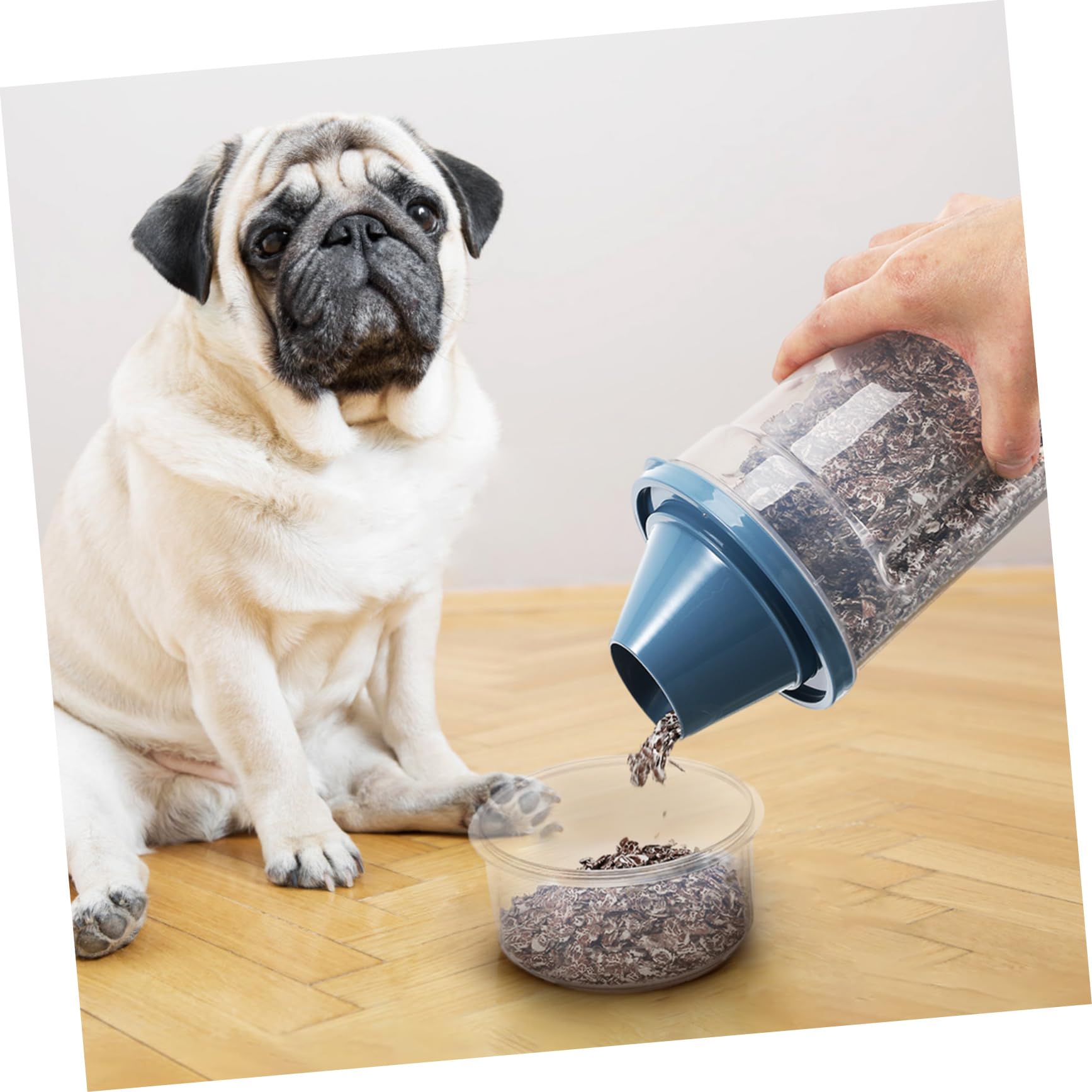 Sosoport 6stücke Klarer Futterbehälter Für Haustiere Luftdichter Pet Food Bucket Für Katzen Hunde Und Vögel Mit Praktischem Ausgießer Und Sichtfenster Zur Einfachen Befüllung