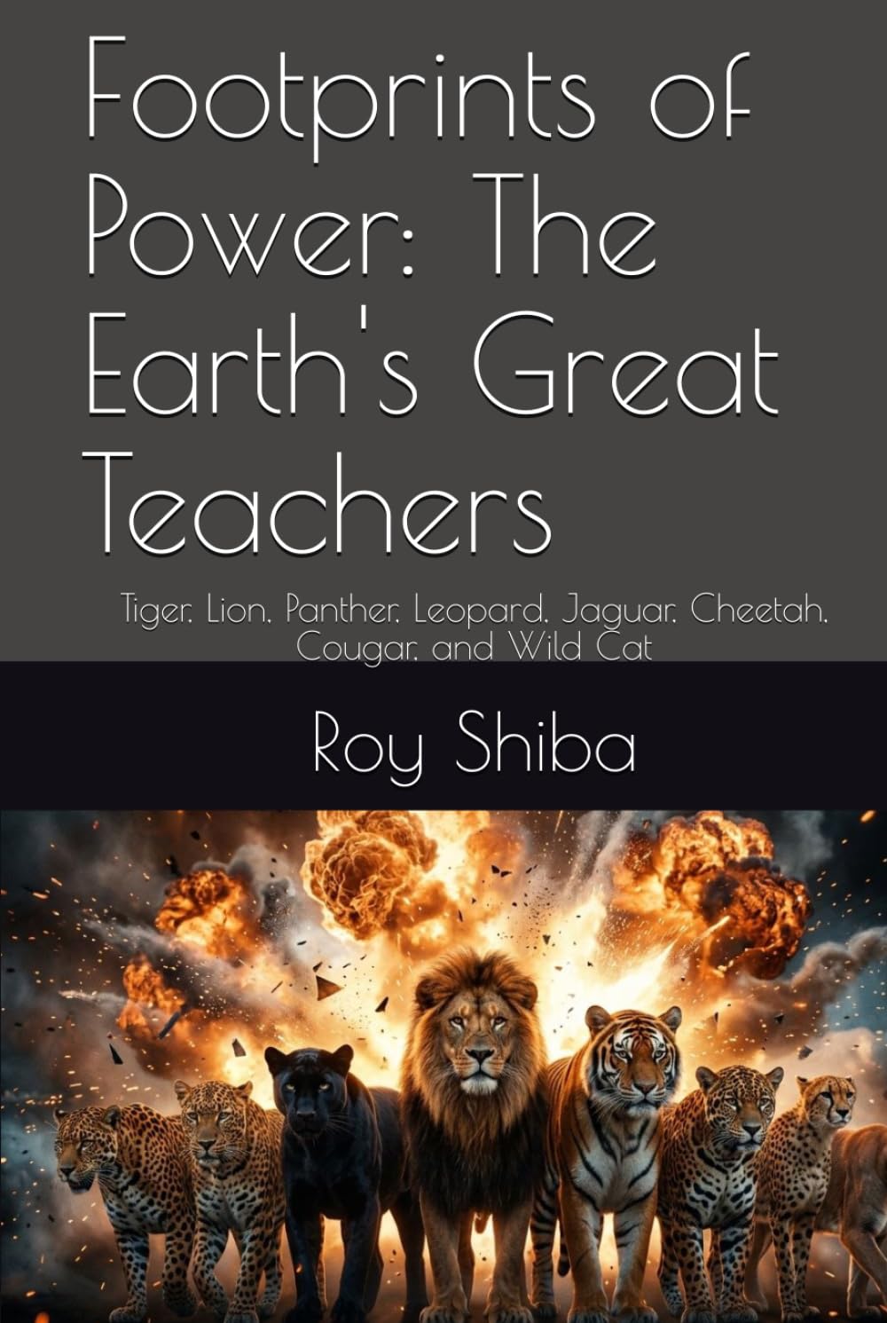 Footprints of Power: The Earth's Great Teachers: Tiger, Lion, Panther, Leopard, Jaguar, Cheetah, Cougar, and Wild Cat (The World Wisdom Archive)