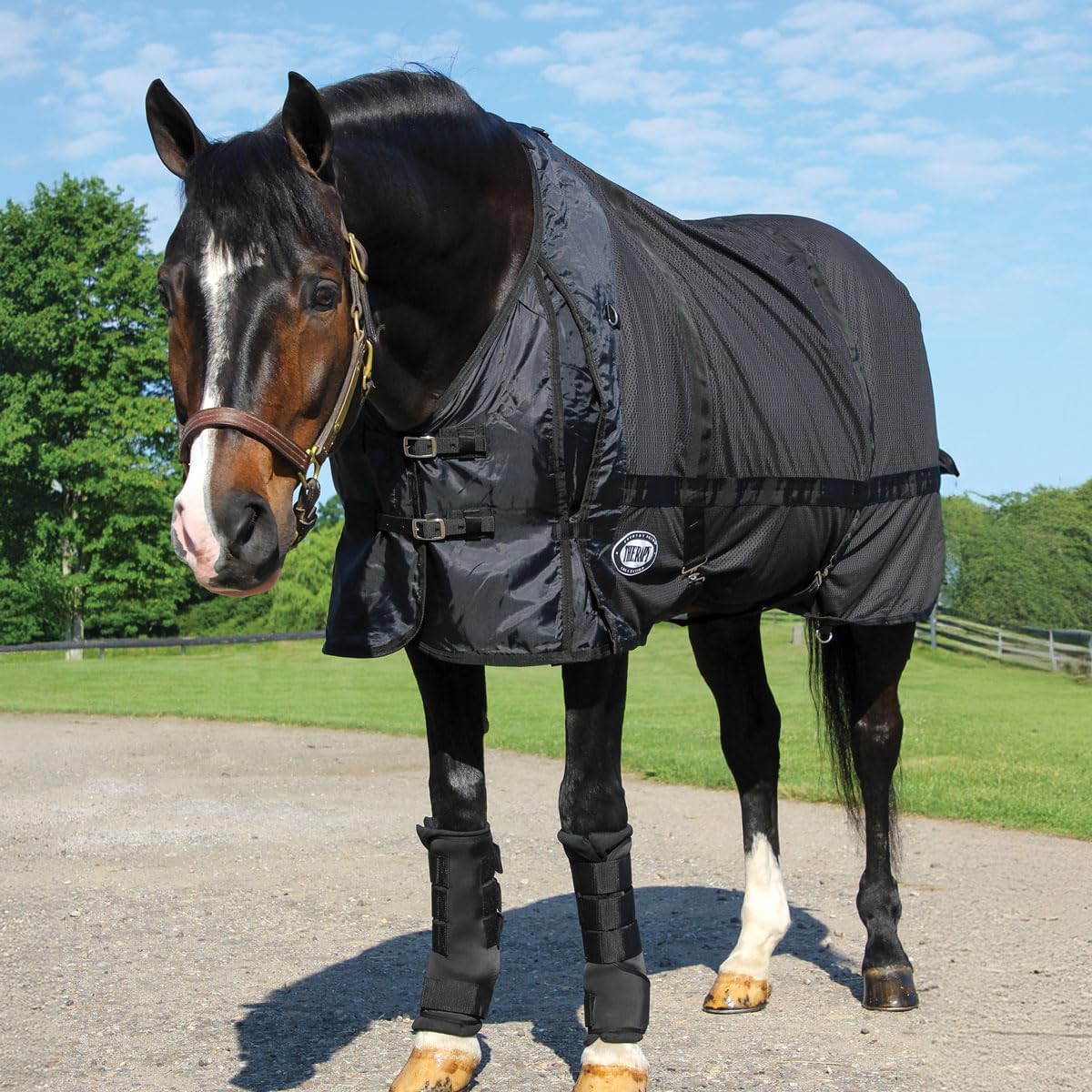 Country Pride Ceramic Mesh Therapy Sheet for Horses, Infrared Horse Blanket, Muscle Recovery, Soothes Soreness, Pre-Ride Warm Up, Indoor Use, Blanket Liner, Black (78)