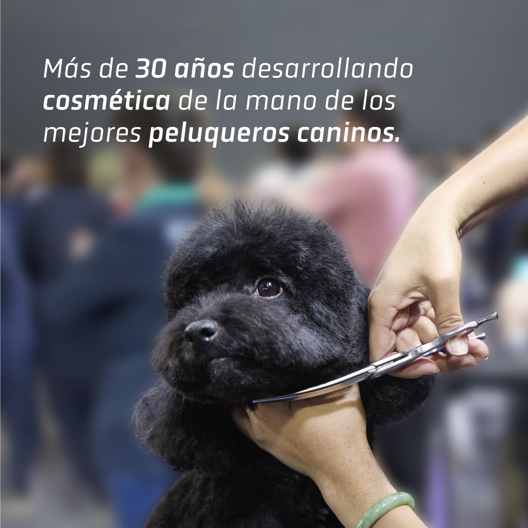 Artero Matt-X. Acondicionador Desenredante para Perros y Gatos – Spray Profesional Antinudos – Suaviza, Acondiciona y Elimina la Estática – Pelo Suave y Brillante – 300ml