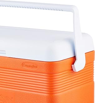 Cosmoplast Keep Cold Plastic Cooler Icebox Deluxe 30 Liters