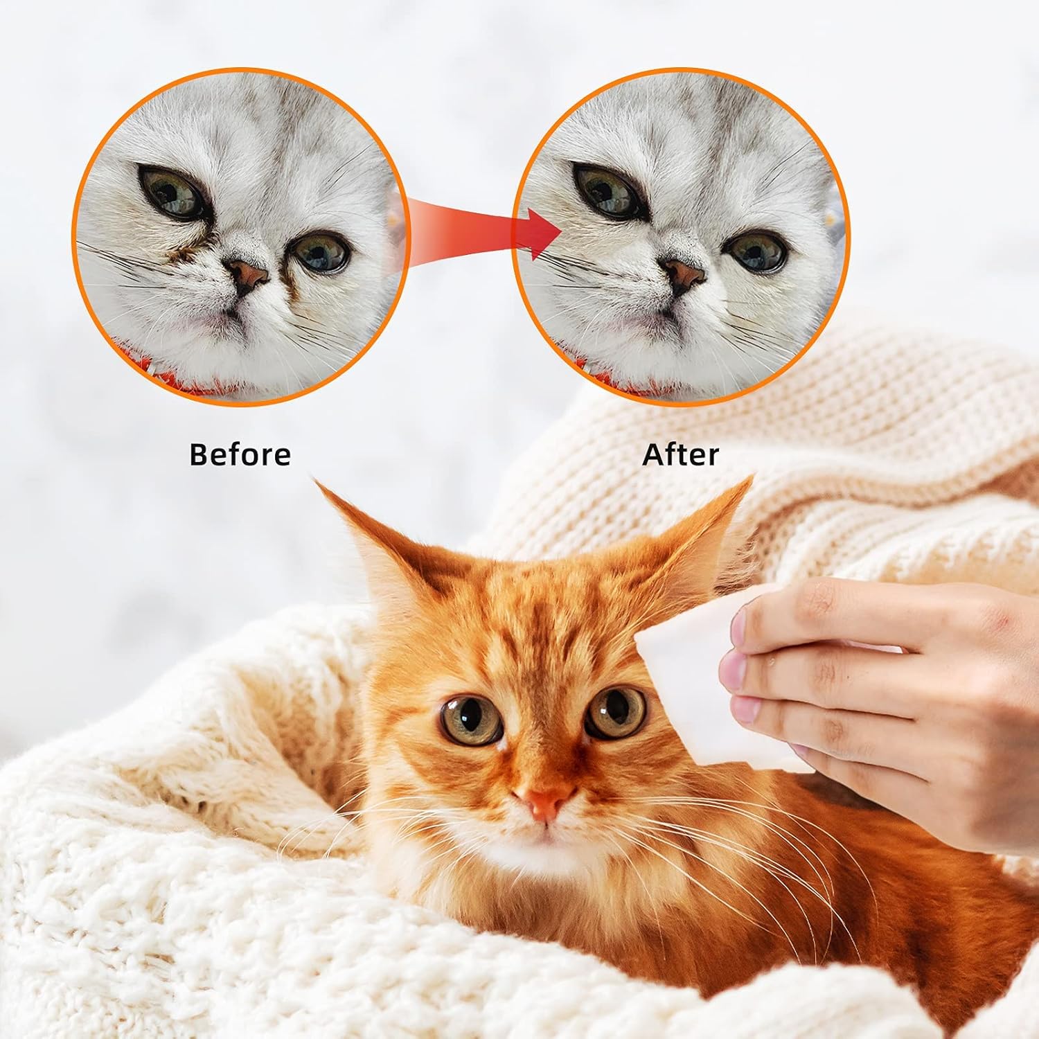 kulloomii Dog Eye Wipes,Cat Dog Eye Cleaner,Pet Tear Stain Remover Wipes,Pet Eye Large Wipes,100 Wipes (Pack of 2), Unscented Gentle Removes Dirt Crust and Discharge for Dogs Cats Puppies & Kittens : Pet Supplies