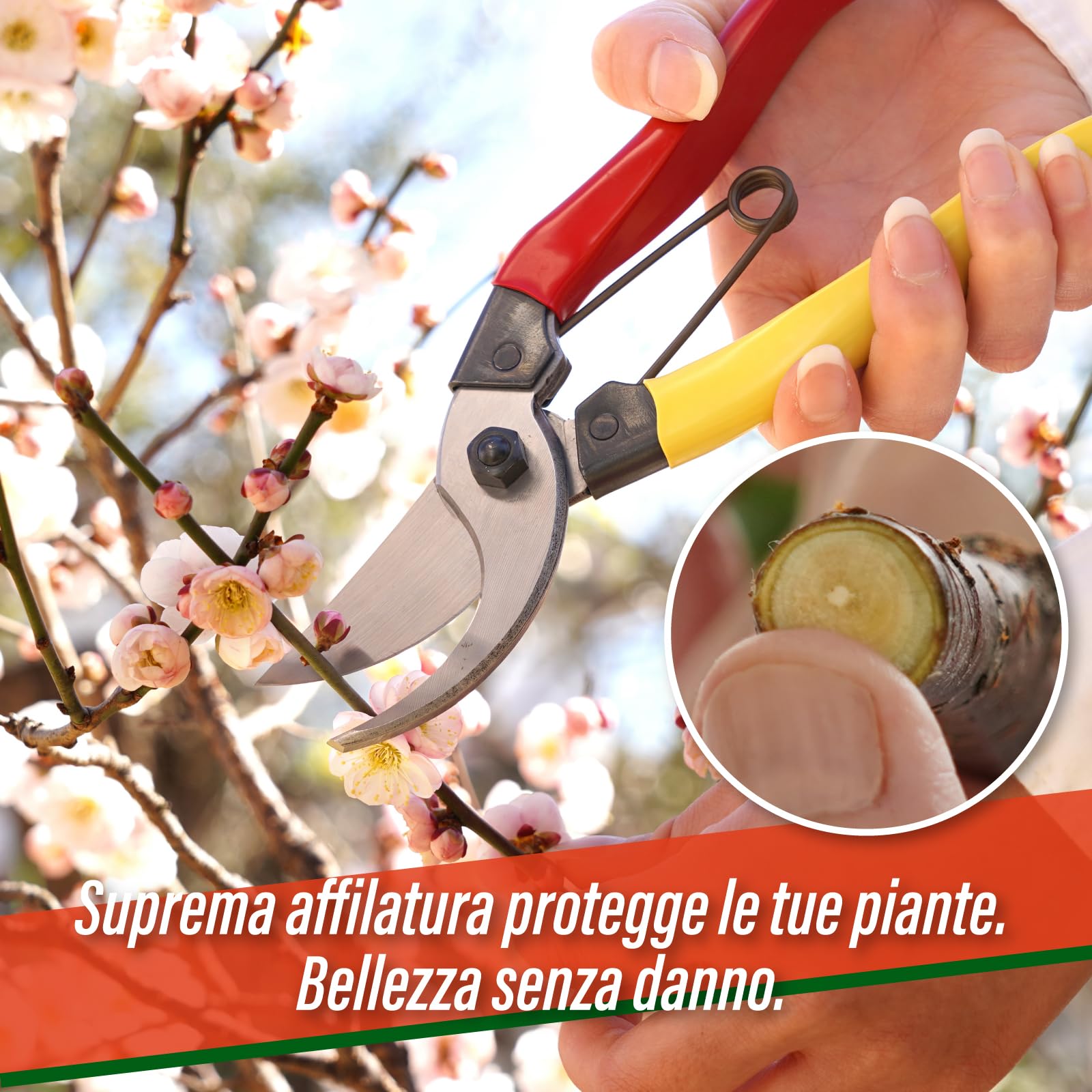 SUIZAN Forbici da Potatura Bypass 200mm - Cesoie Manuali Professionali Giapponesi da Giardino