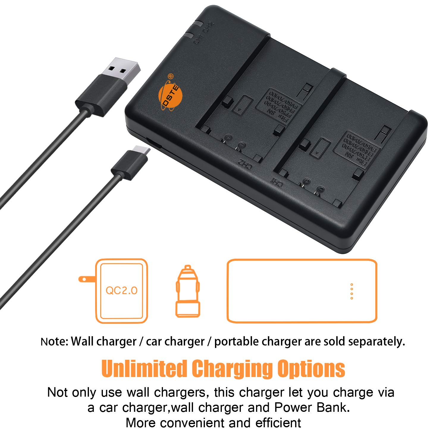 DSTE 2PCS NP-FV100 Batería & Cargador Compatible para Sony DCR-SR15, DCR-SR21, DCR-SR68, DCR-SR88, DCR-SX15, DCR-SX21, DCR-SX45