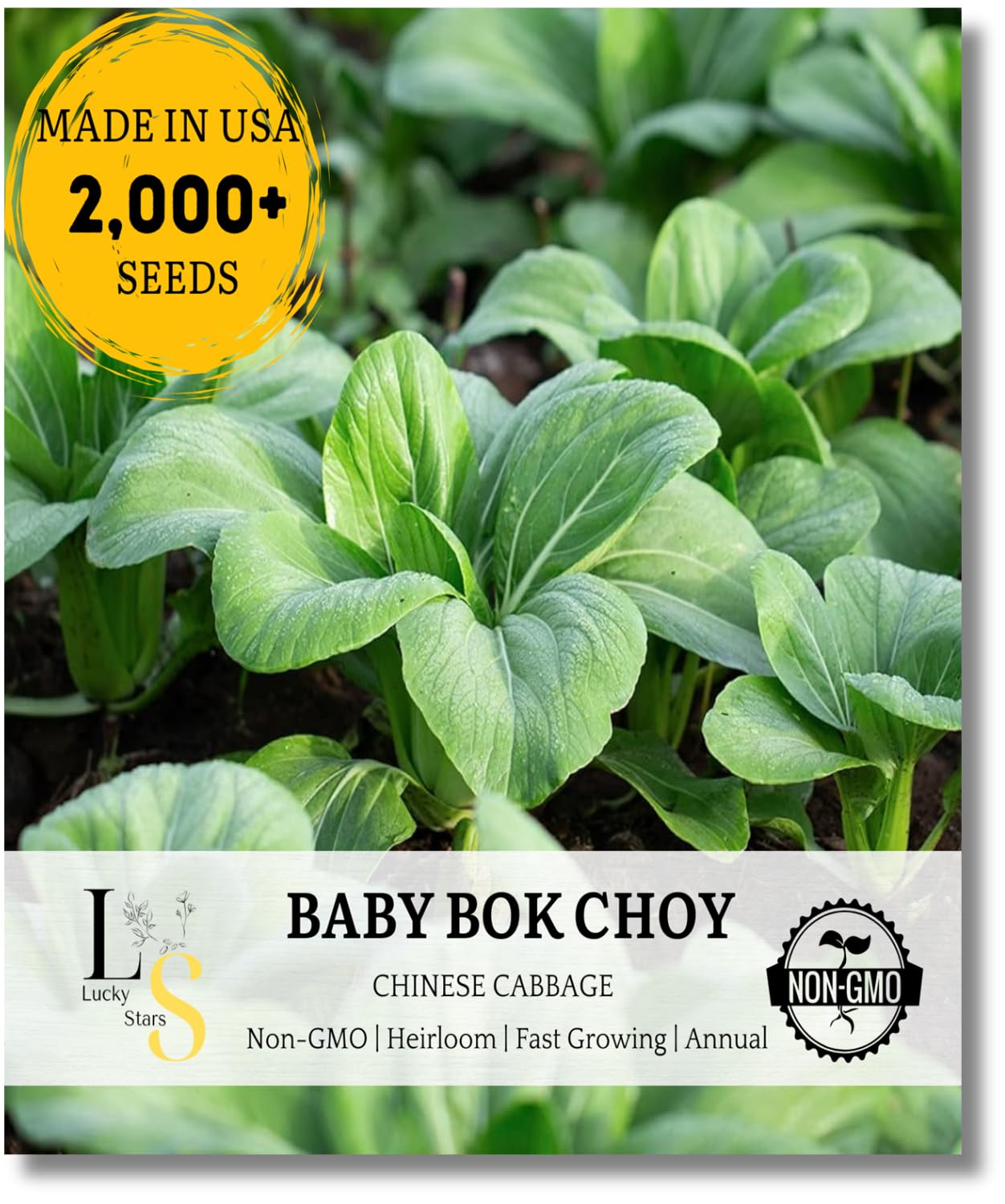2000+ Premium Baby Bok Choy Seeds for Planting – Easy to Grow, Low Maintainance, Authentic Flavor – High-Yielding, Non-GMO Heirloom Seeds