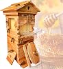 Beehive Starter Kit with 4 Flow Frames & 6 Brood Boxes, Wooden B-ee Hive House Beehive Box, with Transparent Observation Window & Automatic Honey Flow, for Home Beekeeping Enthusiasts