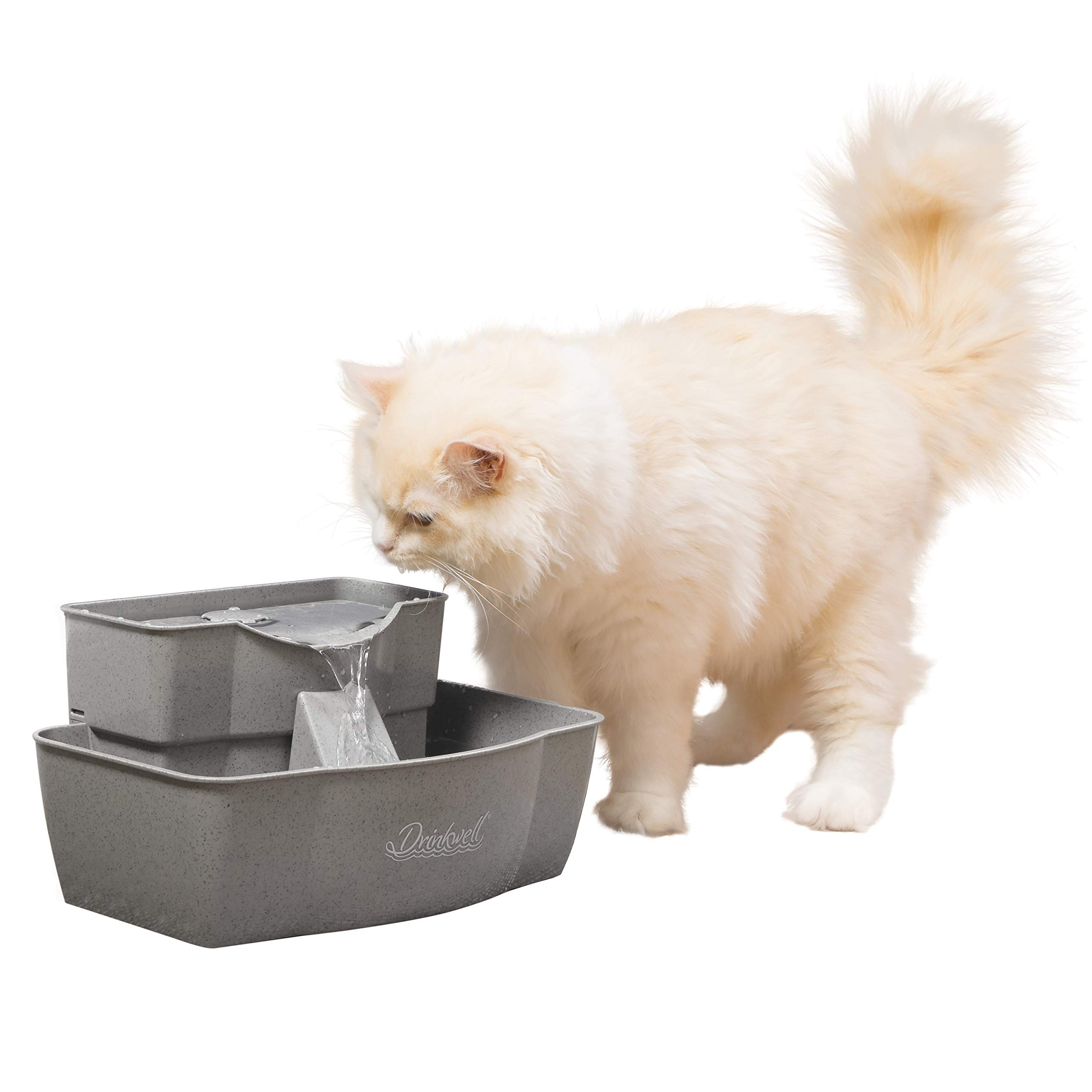 cat drinking fountain australia
