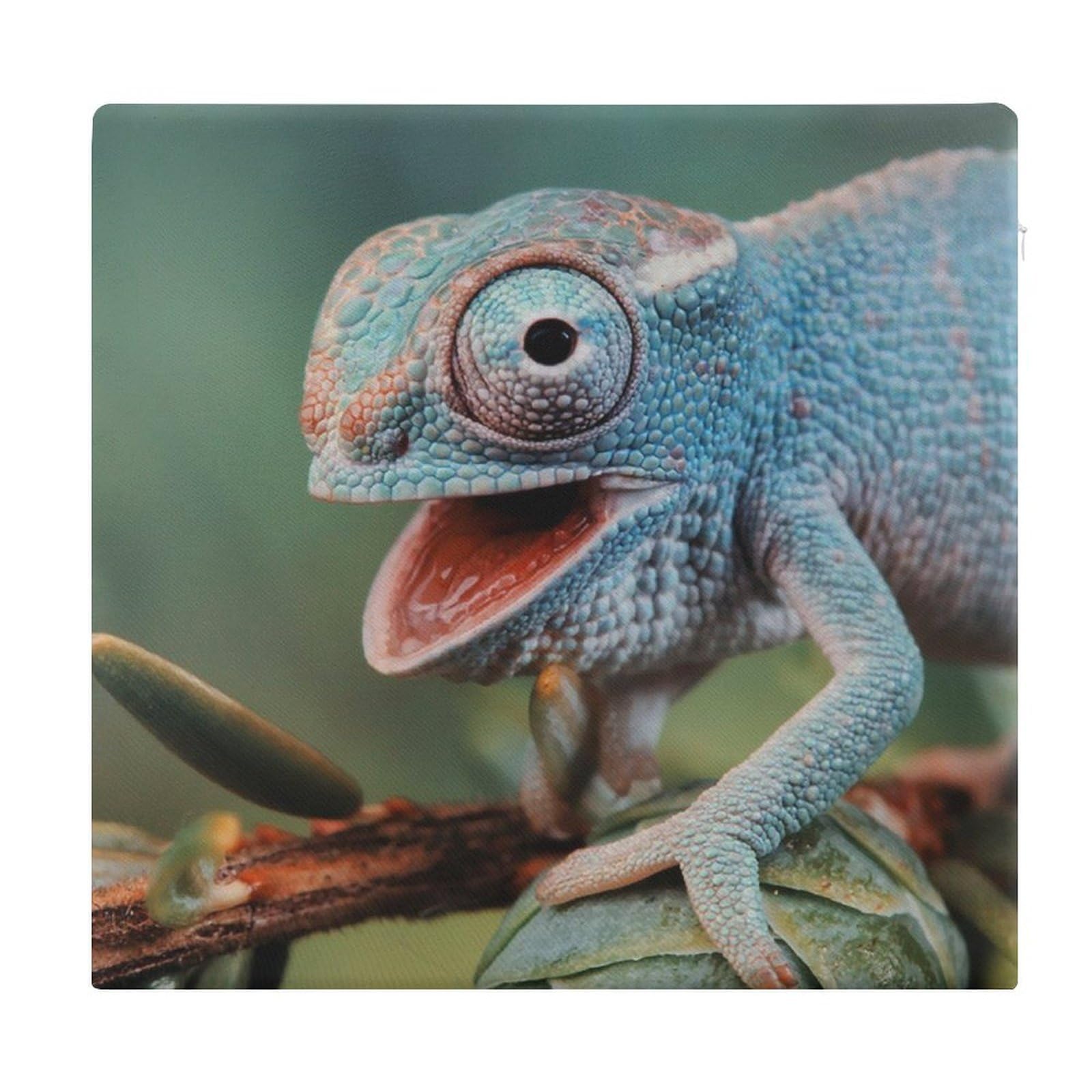 JZemdybill Chair Pad, Funny Chameleon Seat Pad, Square Chair Cushion for Yoga Living Room Balcony