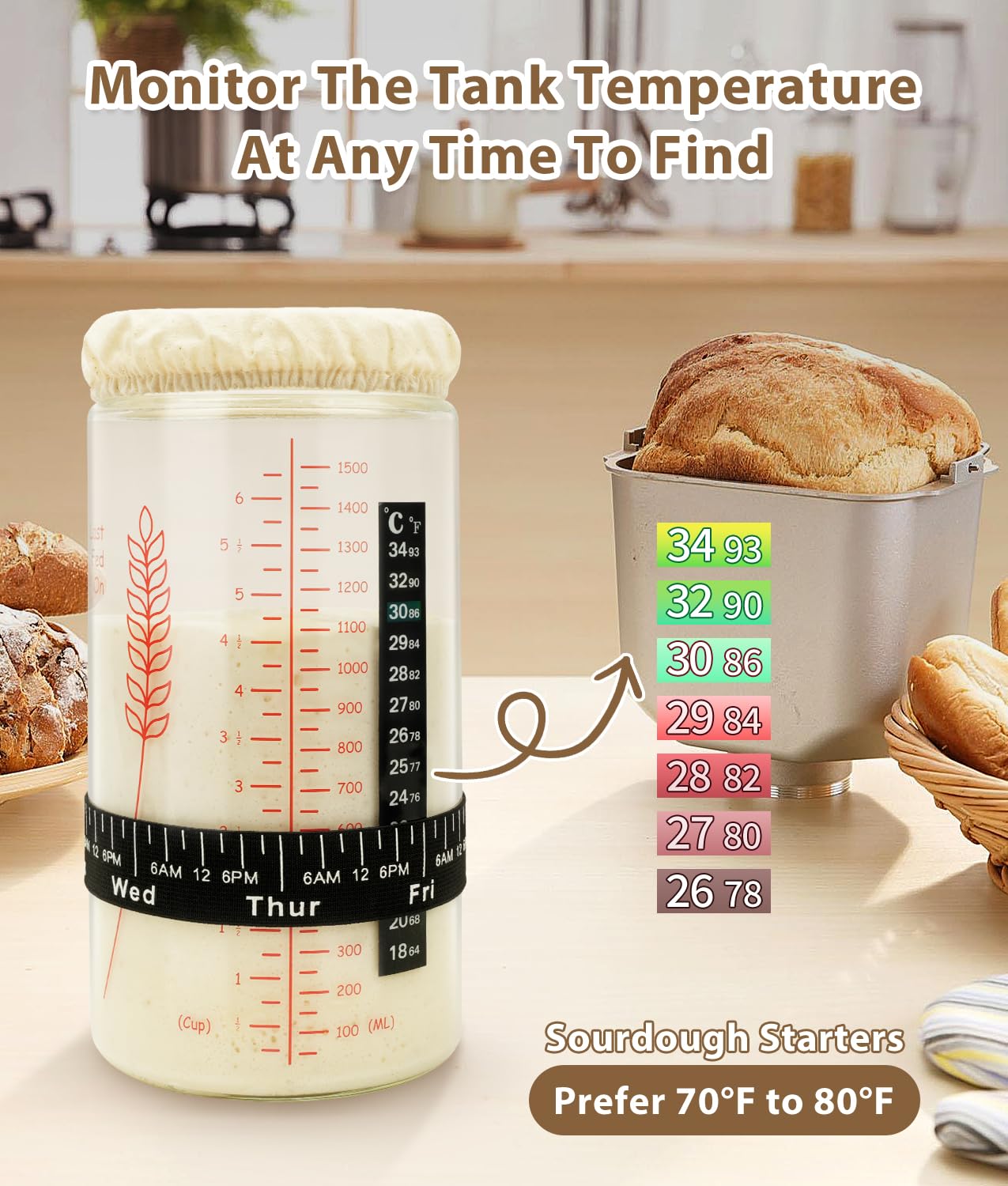 Kit Démarrage Levain - 2 Pots Verre + Accessoires - Guide Inclus