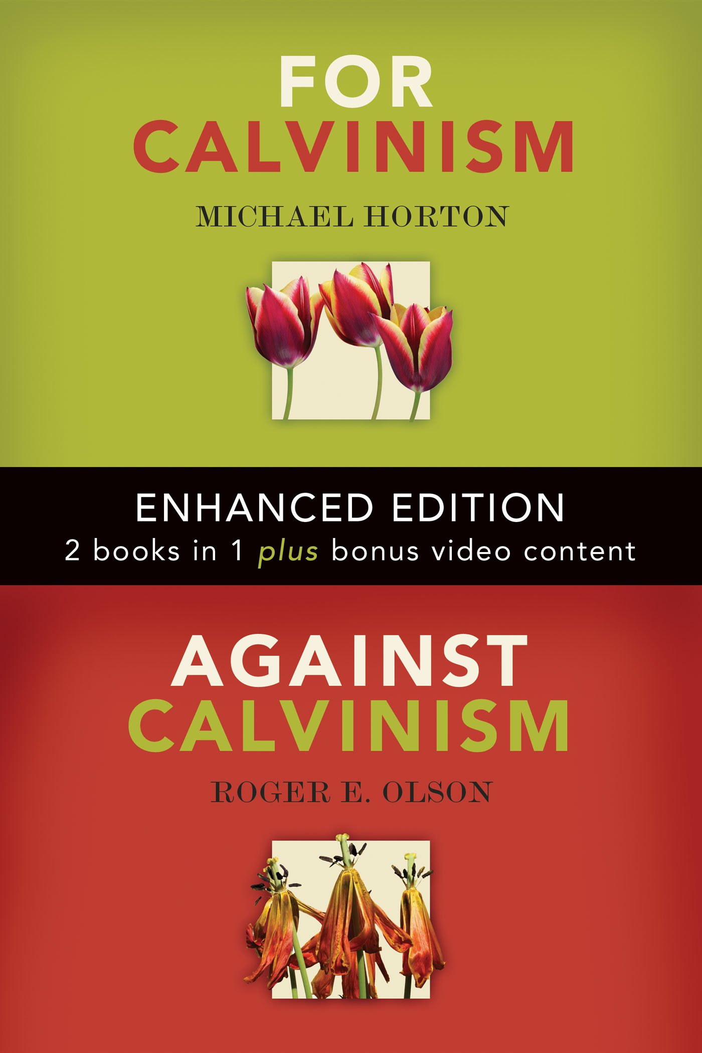 Buy For Calvinism / Against Calvinism (Enhanced Edition) — BookShops.in