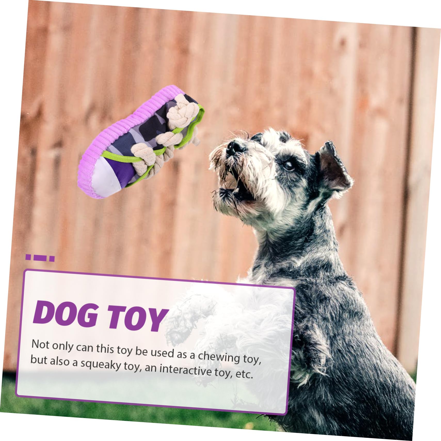 Jouet à Mâcher pour Chien de Chaussure, Corde en Coton et Toile, Jouet Interactif et Couineur pour Chiots et Animaux de Compagnie