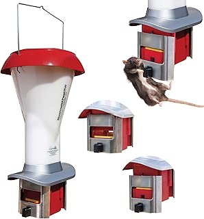 Best Chicken Feeder Hanging Of 2020 Top Rated Reviewed