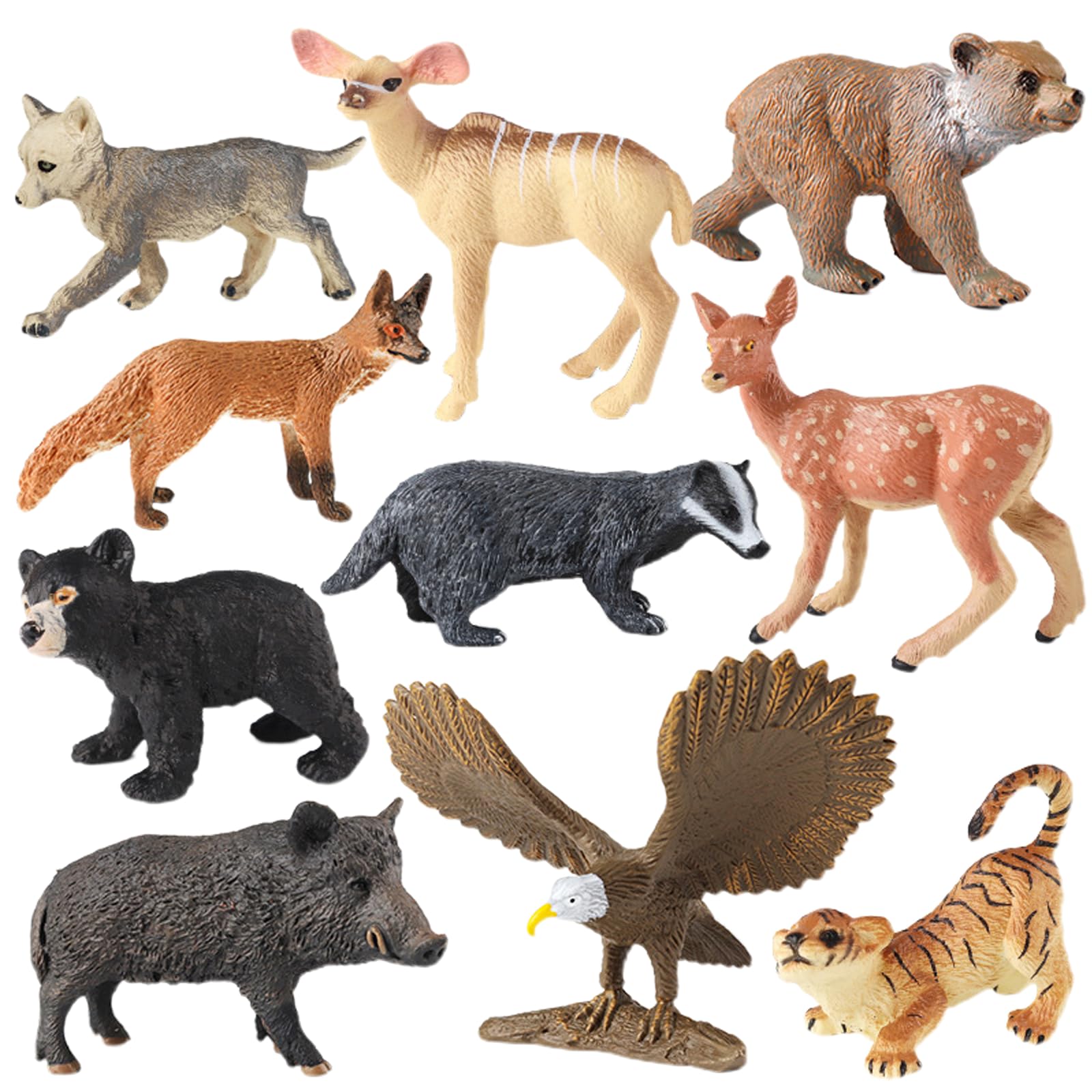 Curaçao Sea Aquarium e Mambo Beach, image size:1600x1600