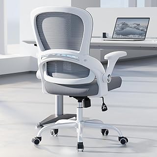 TRALT Ergonomic Office Chair