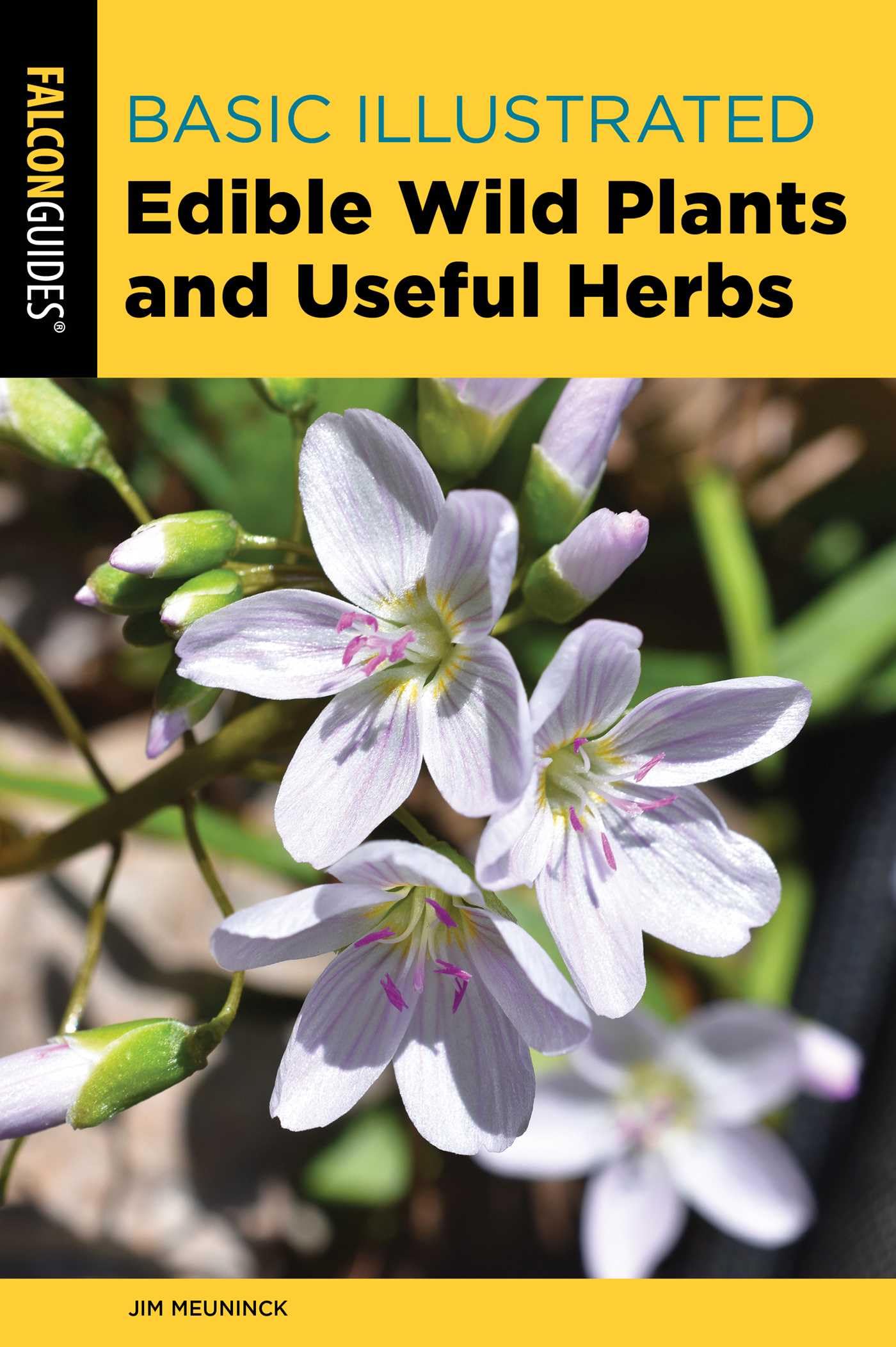 Buy Basic Illustrated Edible Wild Plants and Useful Herbs: A simple exploration of the universe, evolution, and physics (Basic Illustrated Series) — BookShops.in