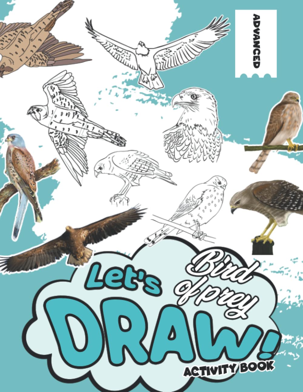 Let's Draw Bird Of Prey Activity Book: Unique and Fun Images of Birds From North America and Around The World Step-by-Step Drawings For Kids Ages