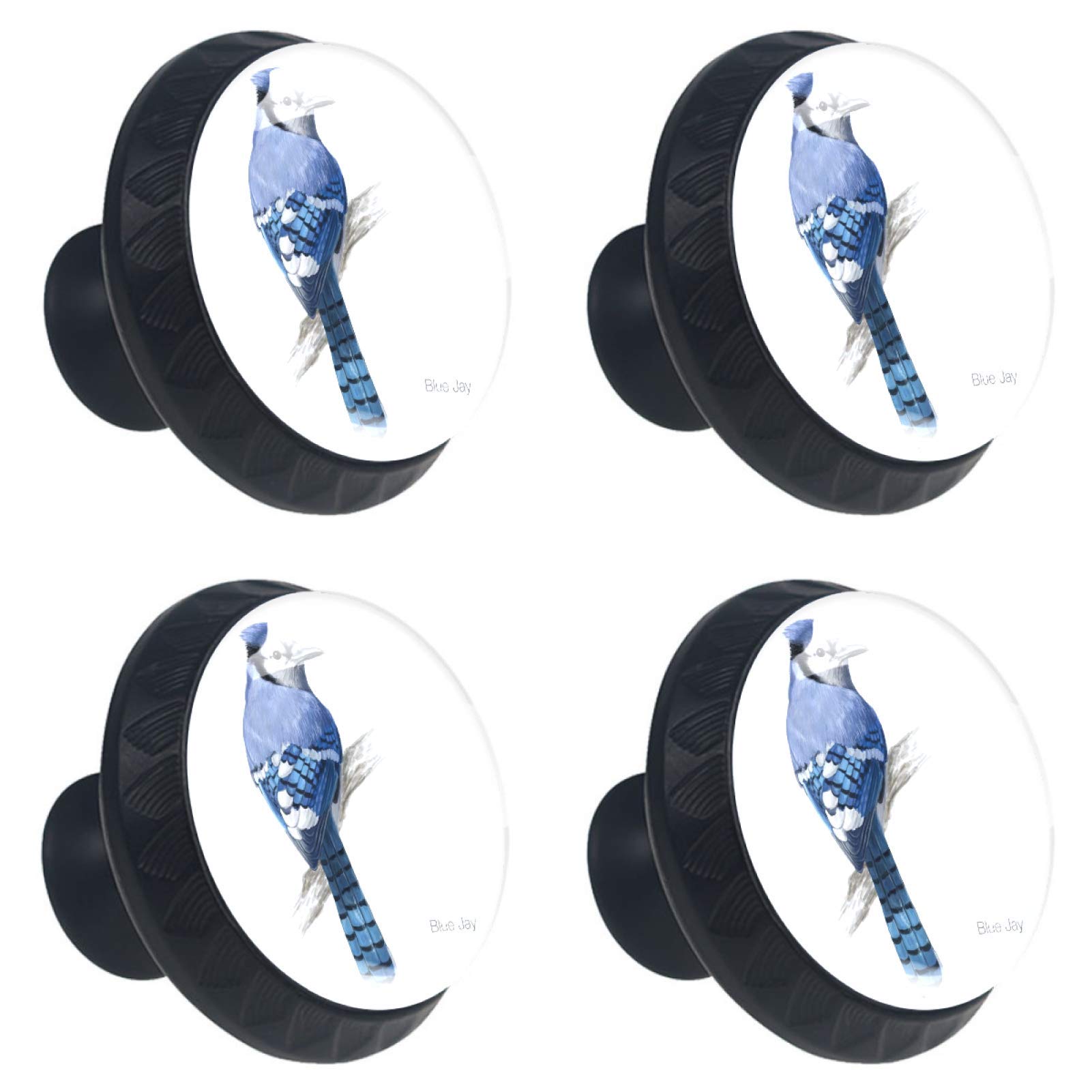 Boutons de tiroir en cristal pour la maison et la cuisine | Décoration motif Blue Jay Bird