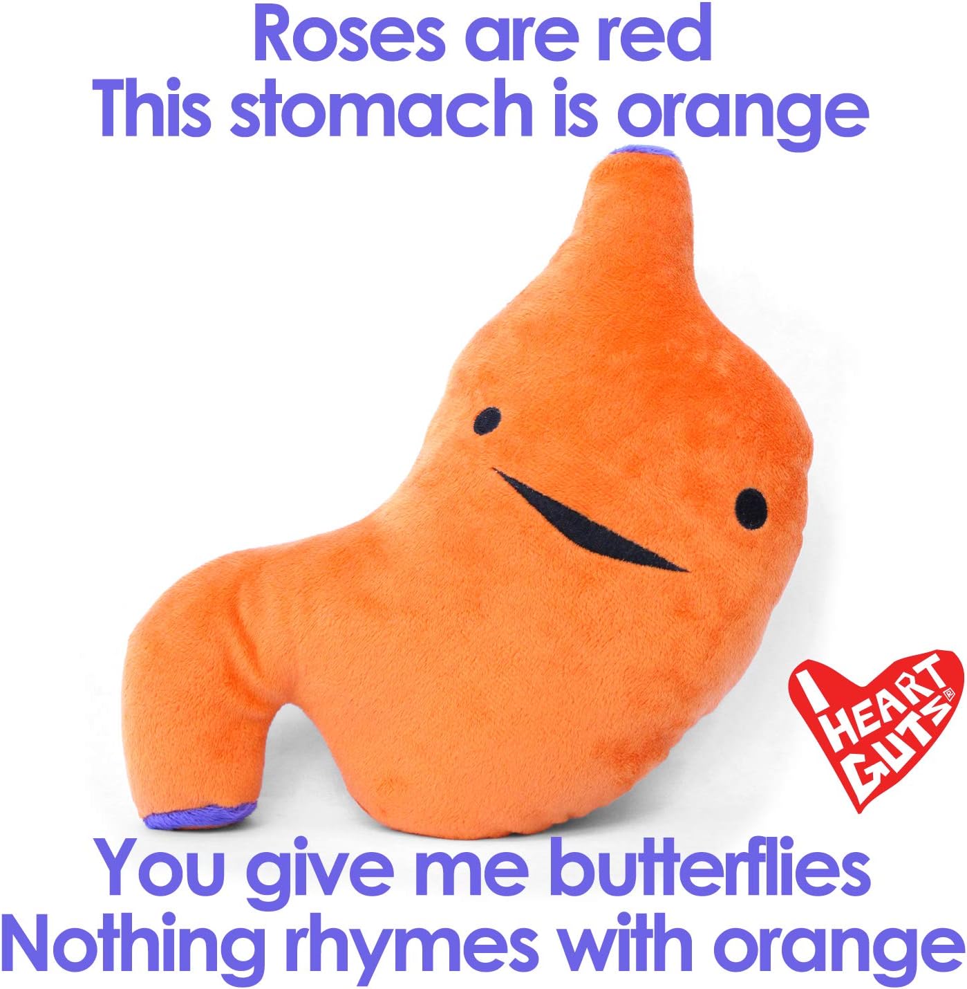 I Heart Guts Super Stomach Plush – I Ache for You! Gastroenterology Gift, GI Doctor Humor, Digestive Health Stuffed Toy, IBS & Ulcer Awareness, Crohn’s Disease Support, Medical Student Anatomy Plushie - Image 7