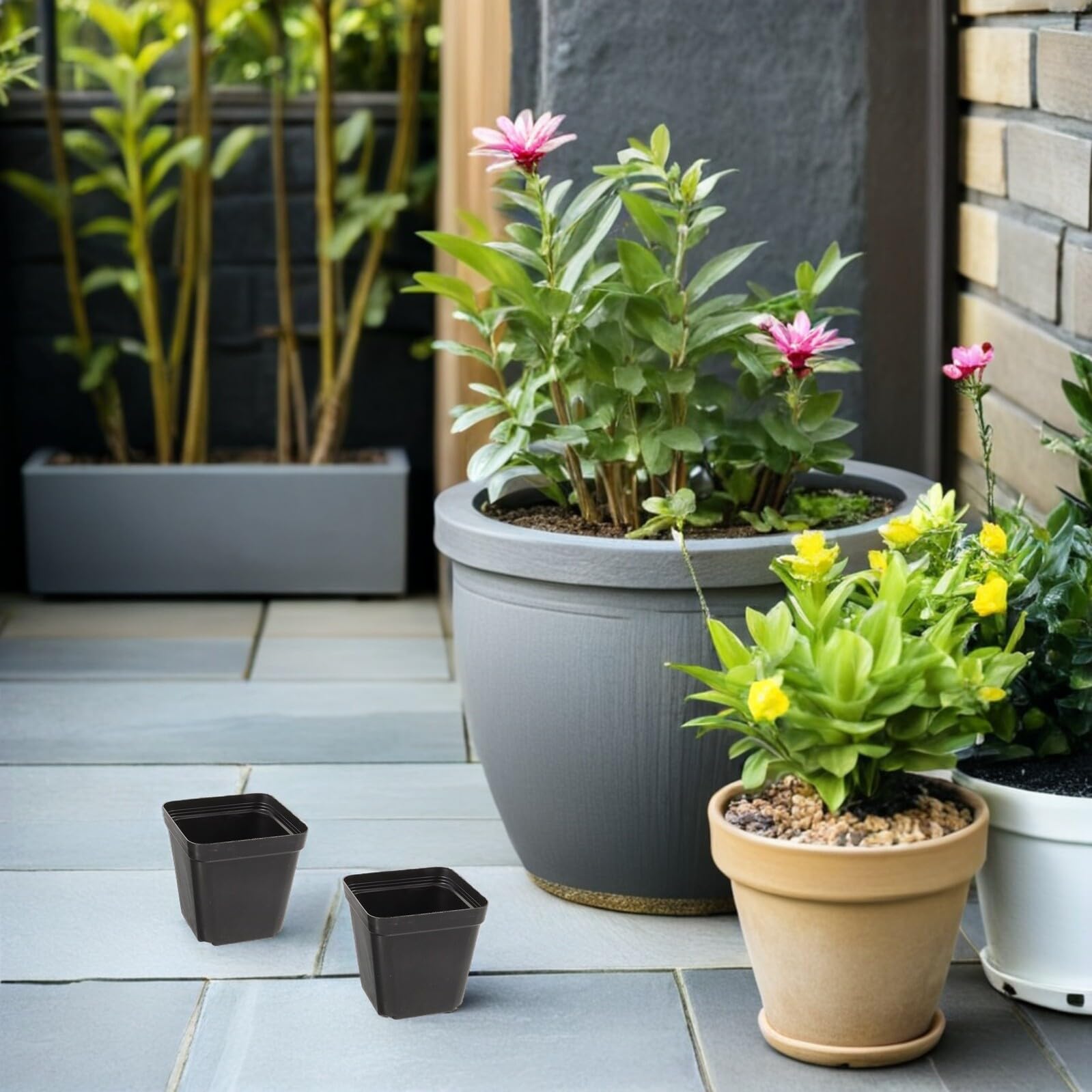 TEHAUX 100 Pièces Lot de Pots Carrés Plastique Noir pour Pépinière Pots pour Semis avec Drainage Adaptés Aux Plantes Succulentes et Fleurs Intérieur