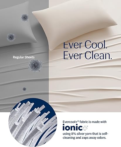 Miniatura 6 de REST Compre 2 OBTENGA 20% de descuento Paquete de fundas de almohada Evercool Comforter Plus con un 20% de descuento, en marfil nieve, tamaño Queen