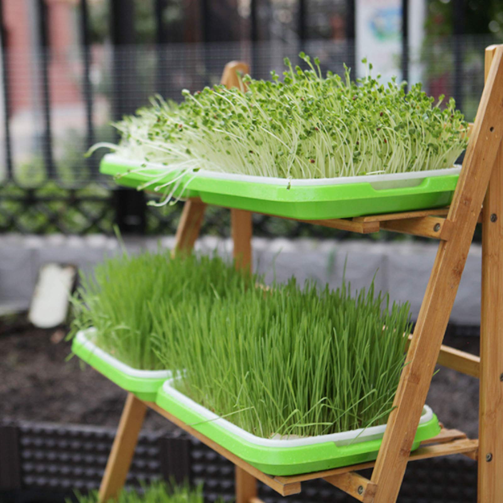 Plateau De Germination Des Graines - Lot De 2 Plateaux Pour Pousses Et Germes (Vert)