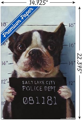 Miniatura 9 de Trends International Lucia Heffernan Art - Boston Mug Shot Wall Poster