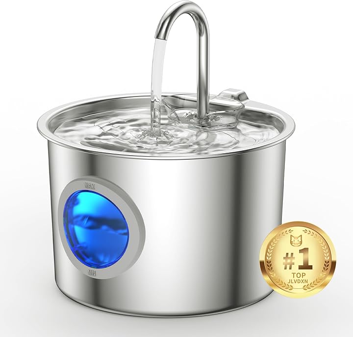 Transparent editorial object representing Lifestyle