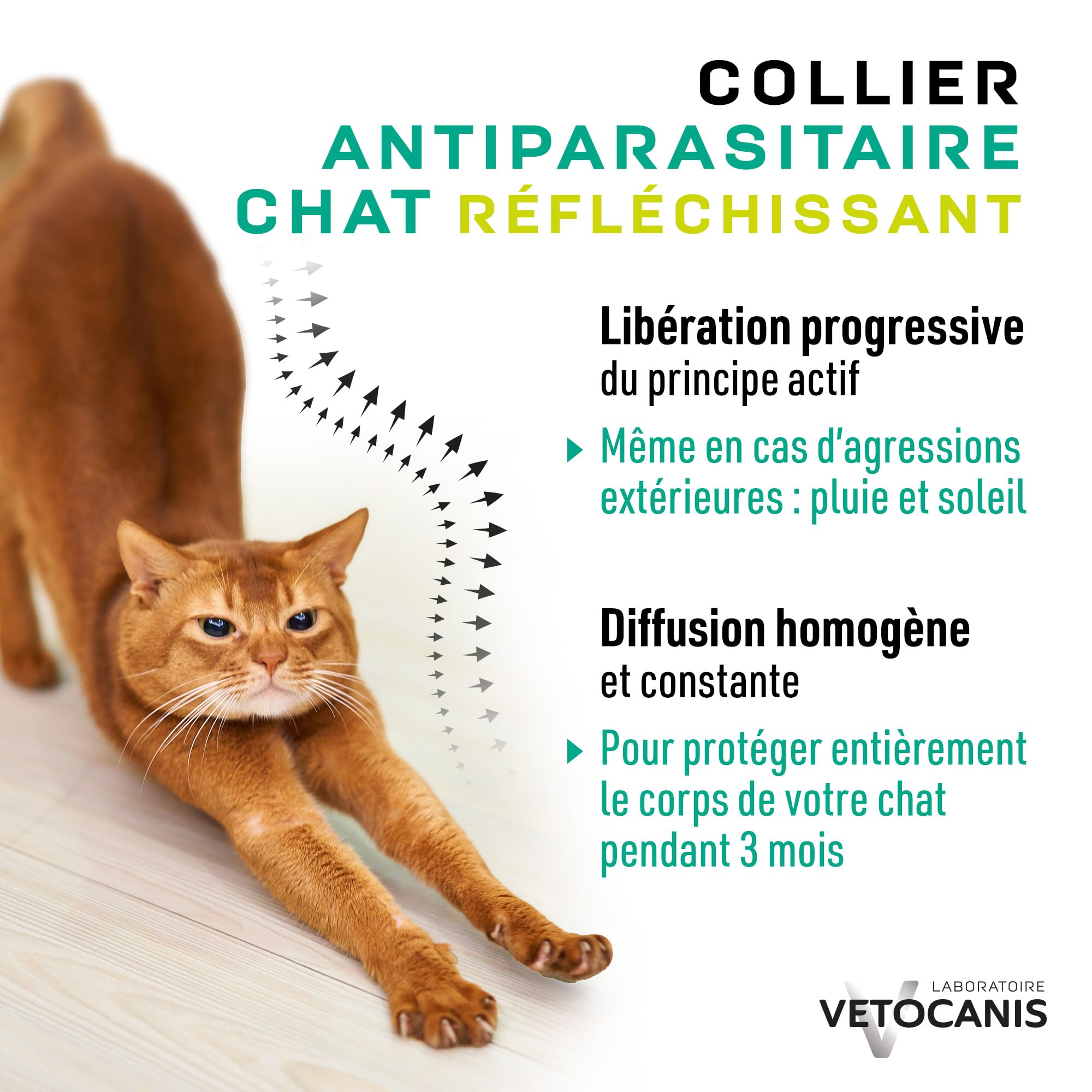 Vetocanis | Collar Antiparasitario Gatos | Protección y Tratamiento Antiparasitario Gatos | Eficaz 3 Meses | Para Gatos de + de 9 Meses | Banda Reflectante | Formulado bajo Control Veterinario