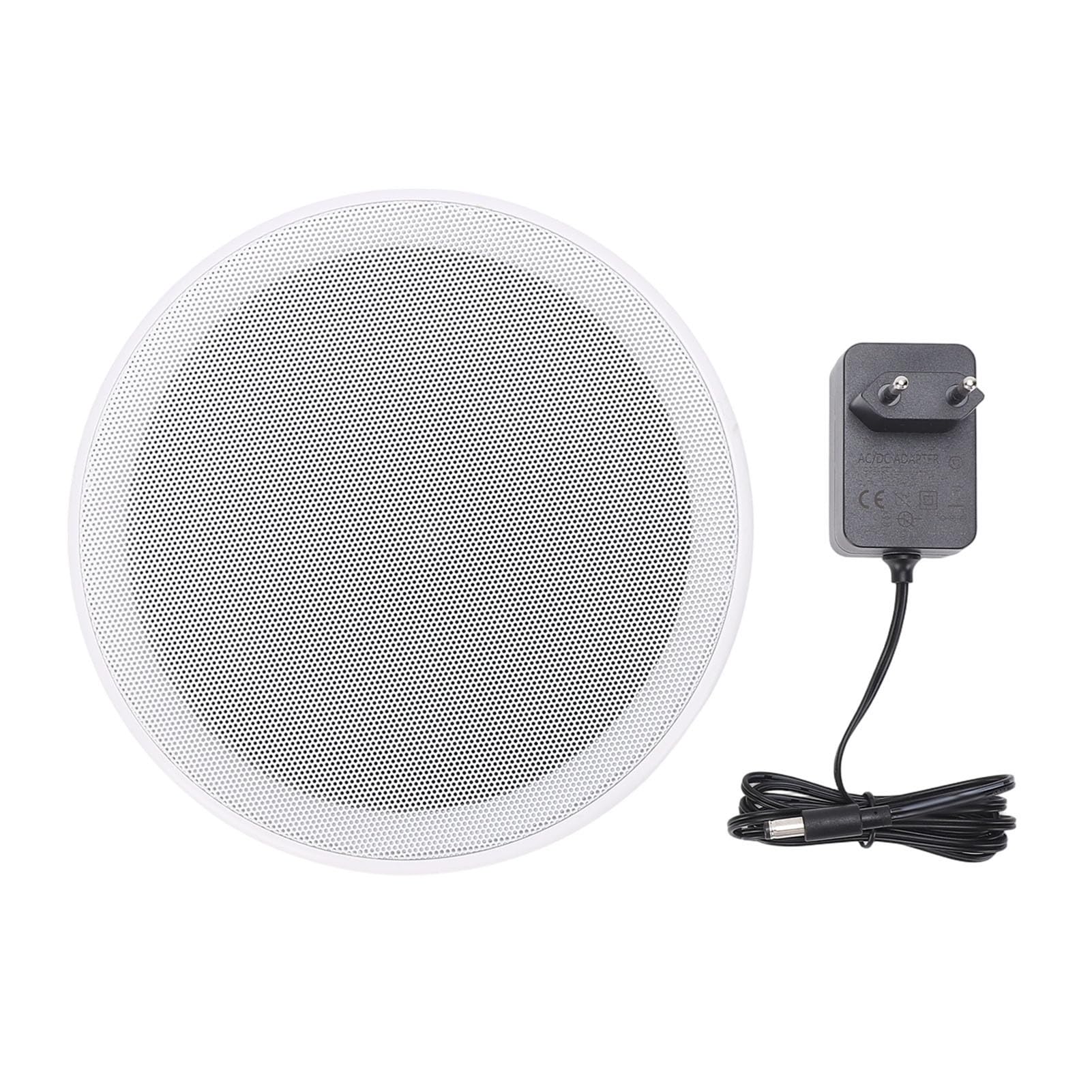 Altoparlante Bluetooth da Soffitto 60W con Amplificatore Classe D Integrato (white)
