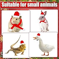 Vista 4 de Juego de 12 bufandas de gorro de pollo para mascotas, gorro de animal de Navidad, mini sombrero de Papá Noel, gorro de Navidad para mascotas