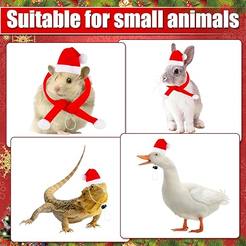 Miniatura 4 de Juego de 12 bufandas de gorro de pollo para mascotas, gorro de animal de Navidad, mini sombrero de Papá Noel, gorro de Navidad para mascotas,