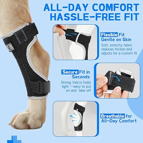 Miniatura 3 de Soporte para piernas de perro, soporte de pierna trasera canina, envoltura de compresión de articulación de cornejo para aliviar el dolor
